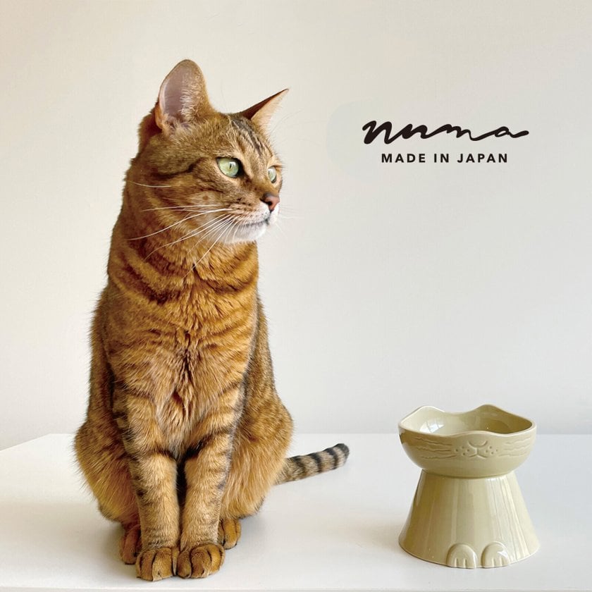 nnma 猫用 フードボウル んーま 猫型ペット用食器 ねこ餌入れ 美濃焼