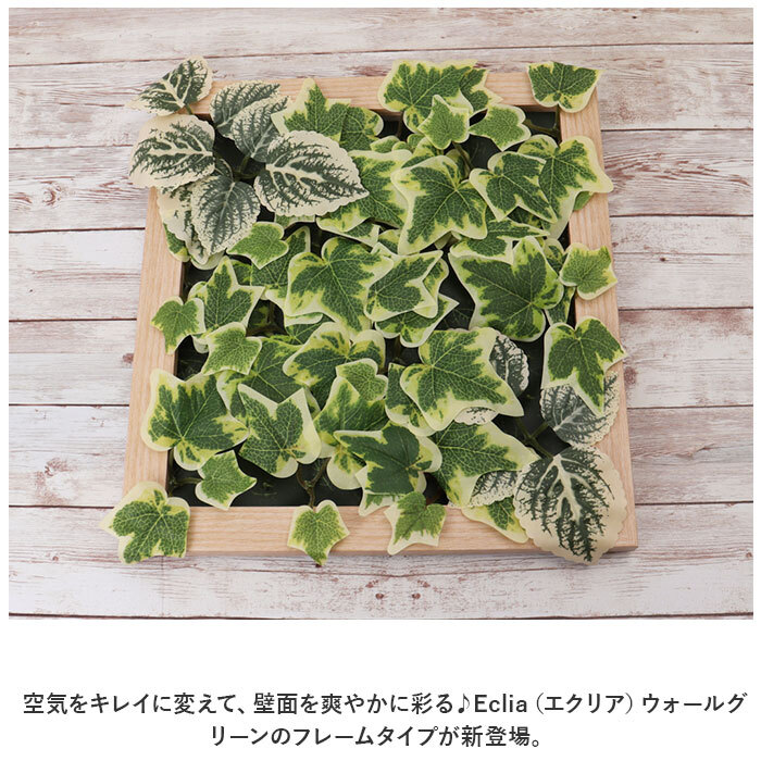 Eclia エクリア ウォールグリーン フレーム 通販 フェイクグリーン Eclia エクリア ウォールグリーン フレーム 通販 フェイクグリーン