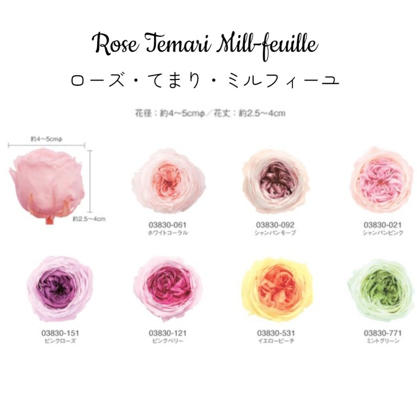 大地農園！プリザーブドフラワー 「ローズ・てまり・ミルフィーユ