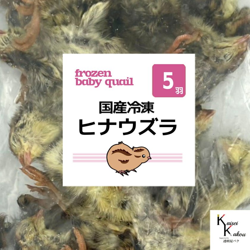 冷凍ウズラ5kg×5段【送料込】 国産 冷凍 ヒナウズラ 5羽」 ヒナウズラ ウズラ 冷凍ヒナウズラ 冷凍