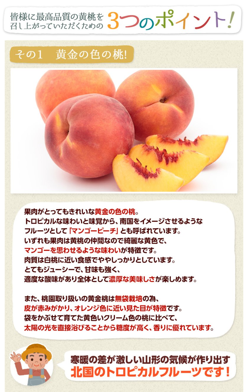 8月中旬頃出荷】【最上等級特秀品】黄金桃/黄貴妃 県内トップクラスの
