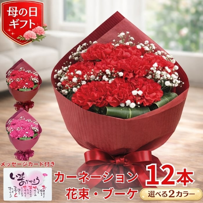 母の日のプレゼントにも♪ 寄せ植え 花□カーネーションの花束のような