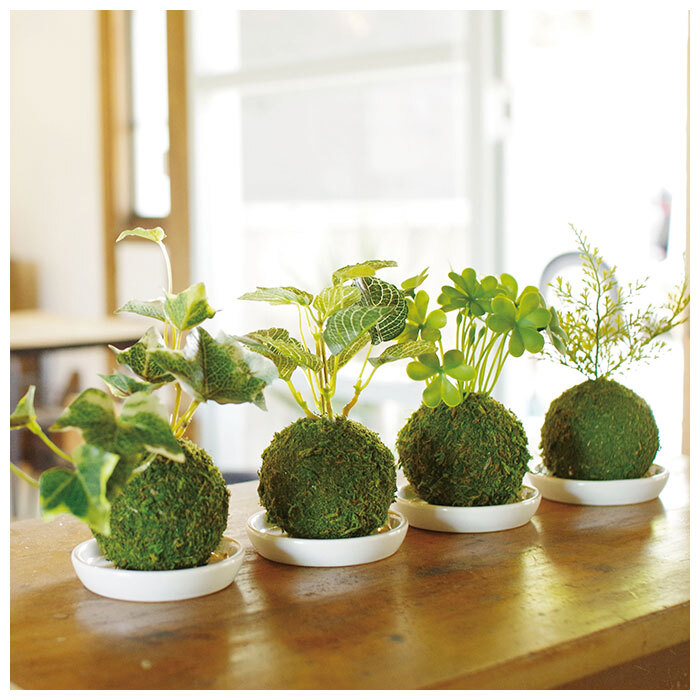 お値下げ！フェイク！中型盆栽 苔と土の植え込みの鉢 盆栽・苔玉 お
