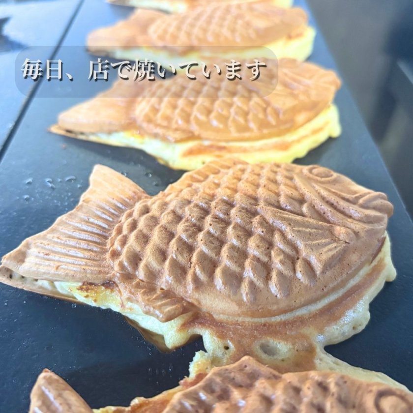 手焼き】大島テラス960 たい焼き 20個セット - 【テイストジャパン