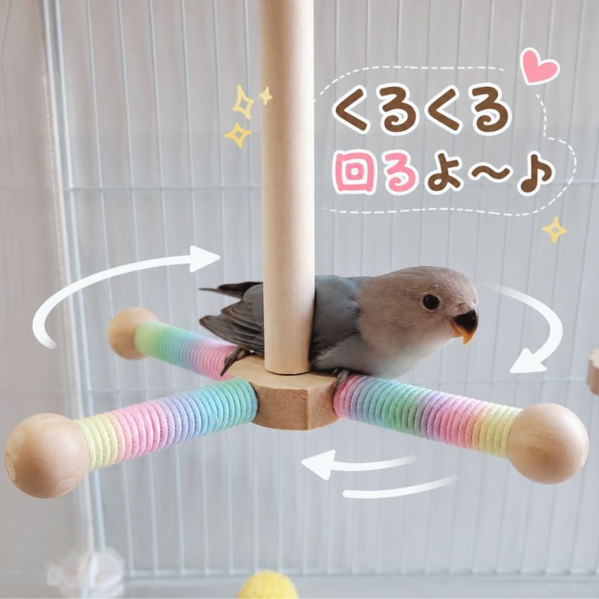 インコ おもちゃ バードステップ 木製 リング 4連 吊り下げ 止まり木