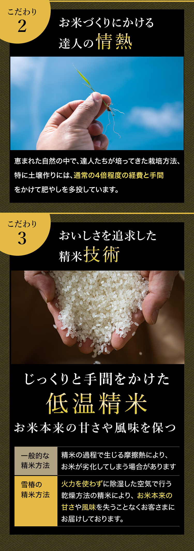 令和7年産 魚沼産コシヒカリ 5kg 最高級 「雪椿」 ブランド米