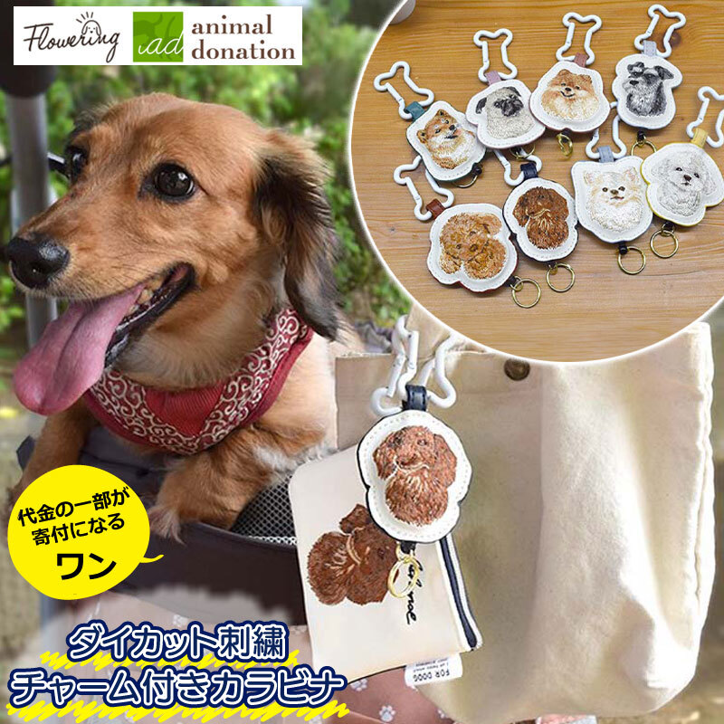 カラビナ リール付き キーホルダー かわいい キーチェーン おしゃれ