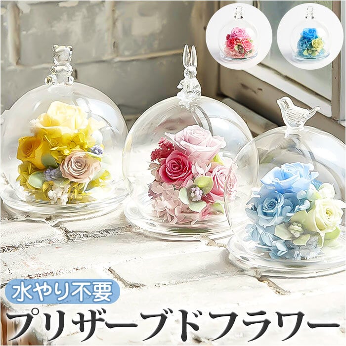 プリザーブドフラワーアレンジメント ガラスドーム付き【美品】 プリザーブドフラワー ガラスドーム 通販 フラワーアレンジメント