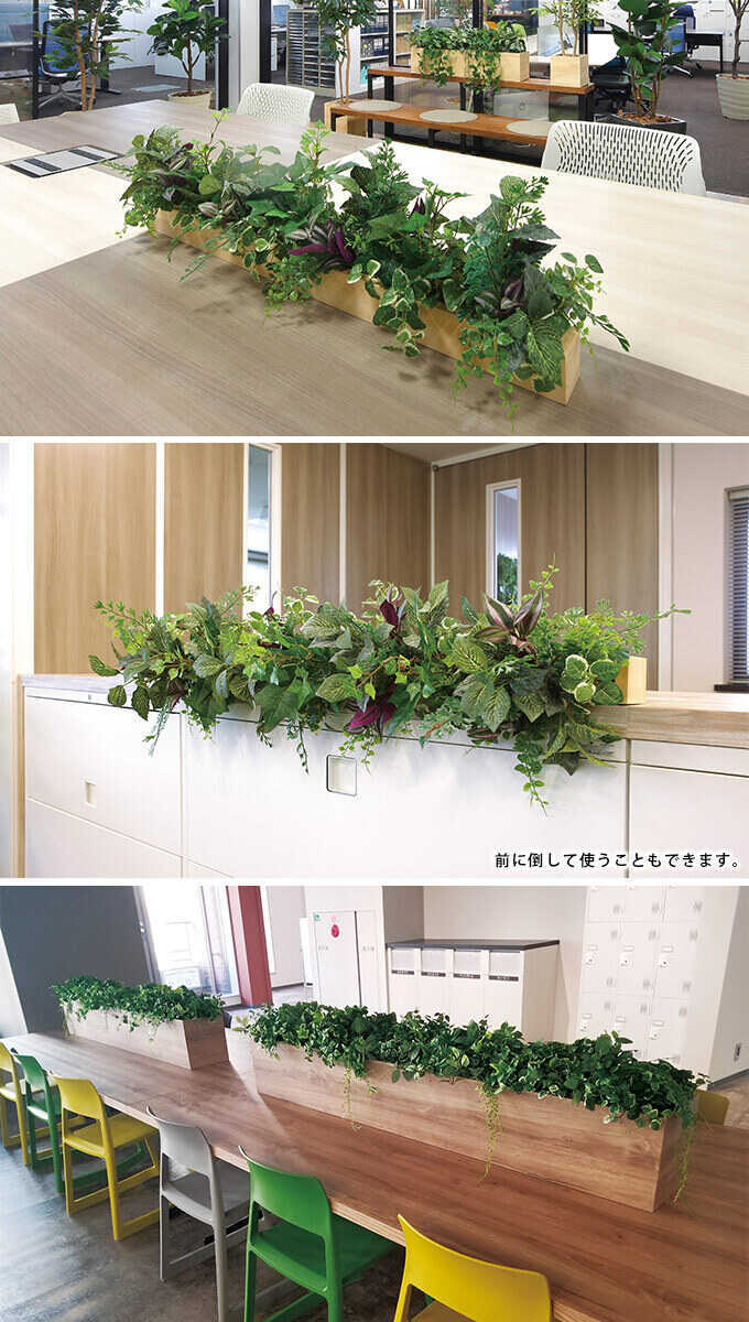 光触媒 人工観葉植物 フェイクグリーン ウッドボックスショウナンゴム