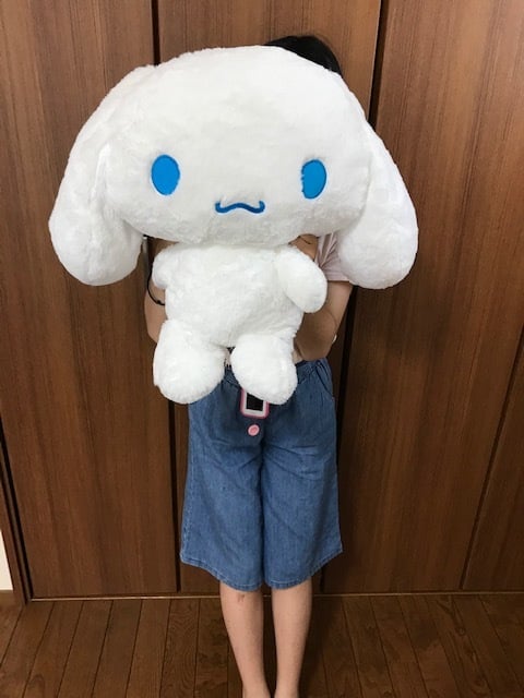 サンリオ ぬいぐるみ ハグハグ シナモロール Lサイズ 人気キャラクター