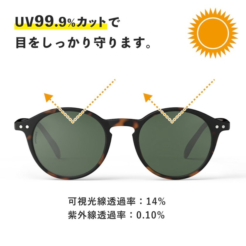 IZIPIZI イジピジ サングラス D ボストン 眼鏡 伊達メガネ 度なし