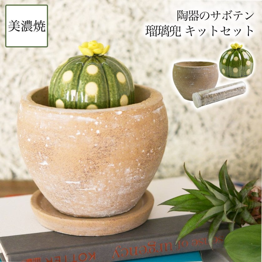 SERA SABO 陶器のサボテン 瑠璃兜 黄色 キットセット （鉢・ストーン付