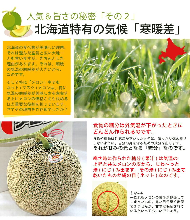 富良野メロン 超特大サイズ 3Lサイズ 2玉入り 送料無料