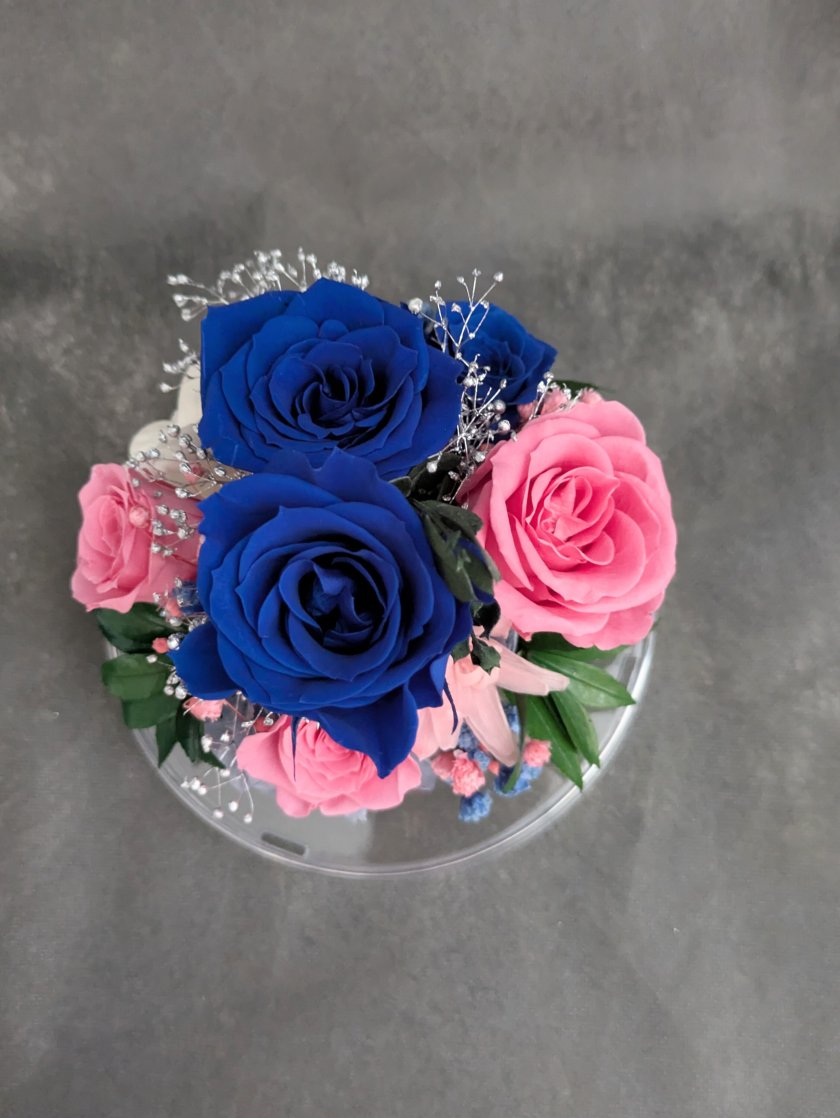 プリザーブドフラワー／ドームの中に咲く青とピンクの薔薇と小花の