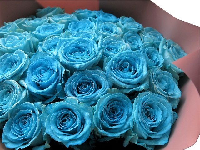 水色バラ 花束 生花使用 30本使用 青バラ系 - 【フラワーガーデン