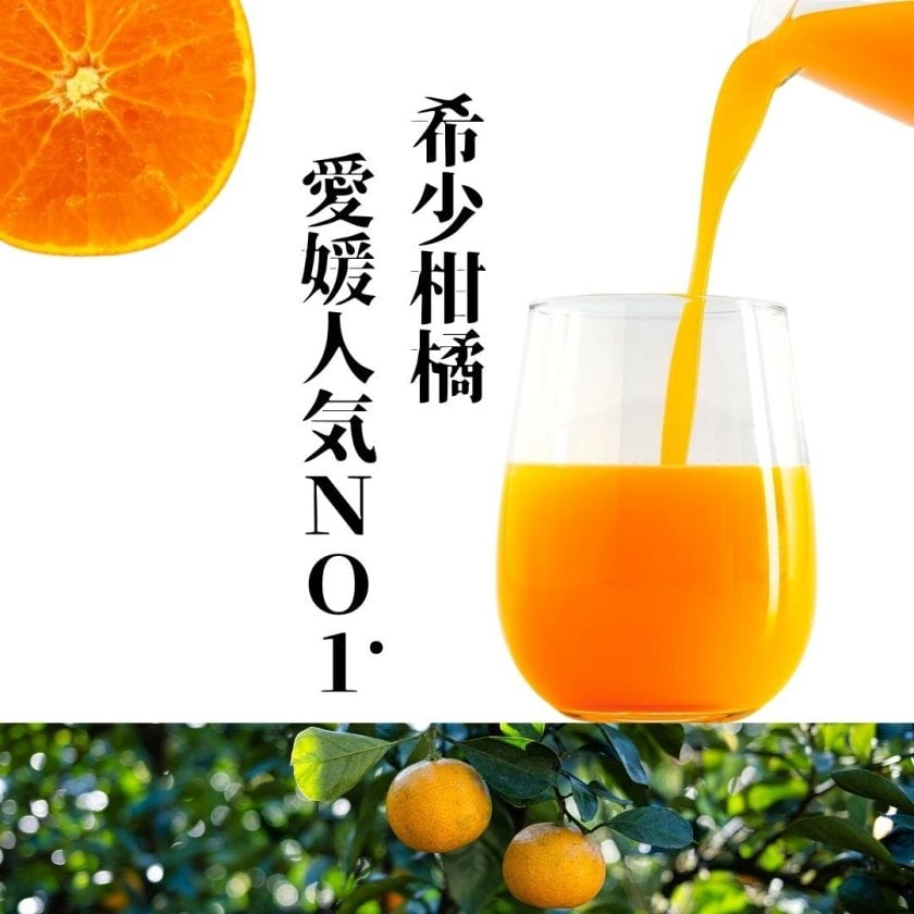 名入れ無料】愛媛100％ストレートまどんなジュース 柑橘 紅まどんな 無