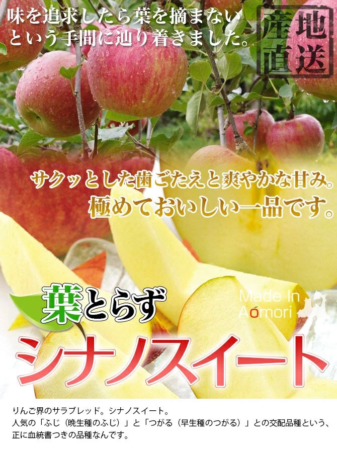青森県産 葉とらずシナノスイート ご家庭用10kg (約28〜40個) 人気の訳 
