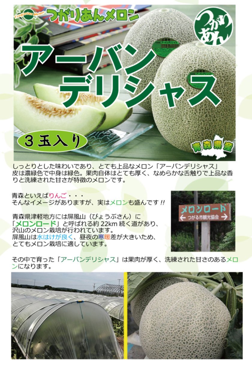 7月下旬より発送開始】つがりあんメロン「アーバンデリシャス」3玉入