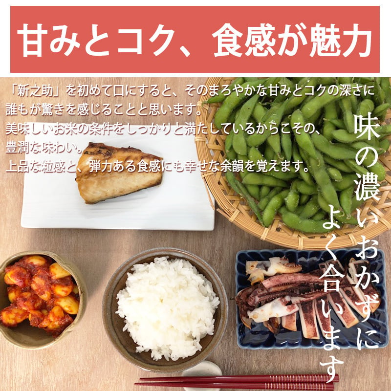 令和7年産 【無洗米】新潟産新之助 5kg お米 5キロ 送料無料(沖縄を