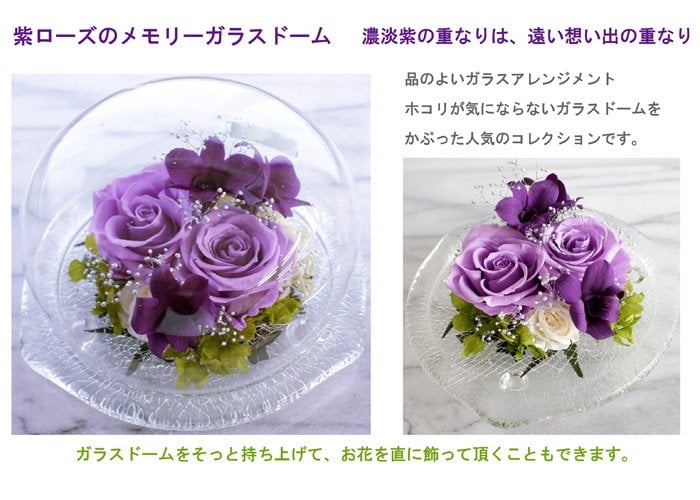 プリザーブドフラワー パープルローズ ガラスドーム入り 紫の薔薇・パープルメモリードーム・ガラスドームアレンジ 誕生日