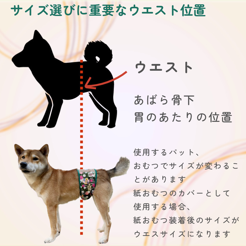 名入れマナーベルト 幅広】やさしく包み込んでも漏れない プレゼントに 