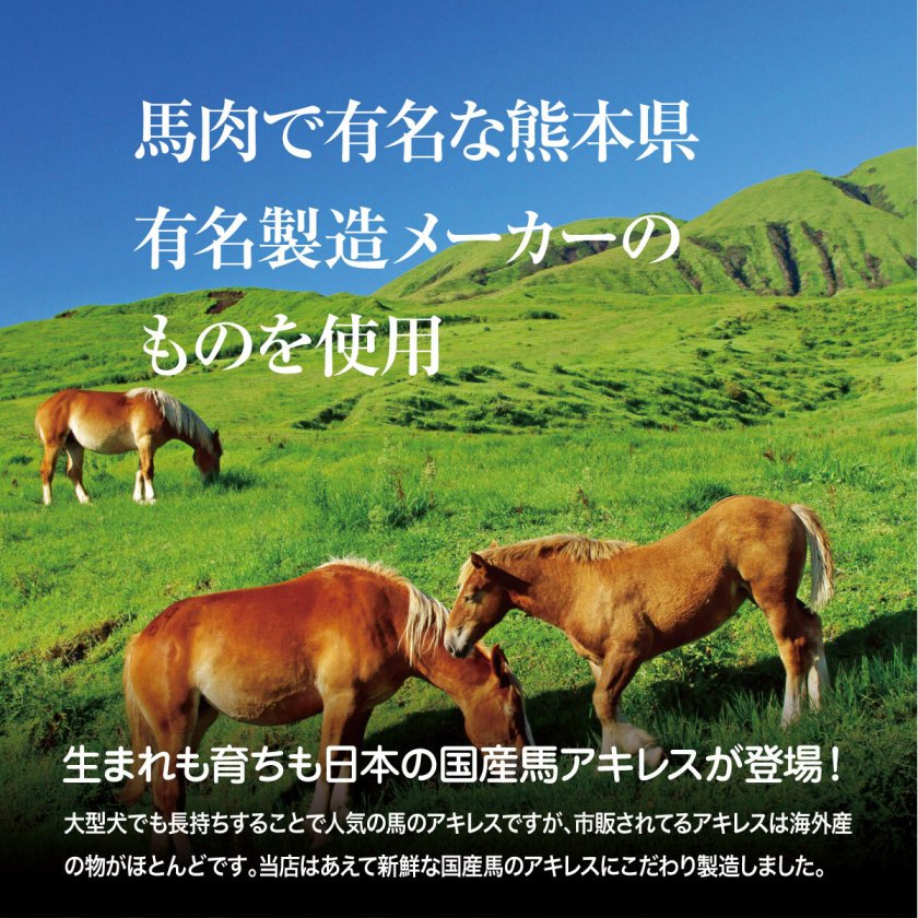 国産馬アキレス ロングタイプ100g 20～30cm 犬用 馬肉 ジャーキー 無