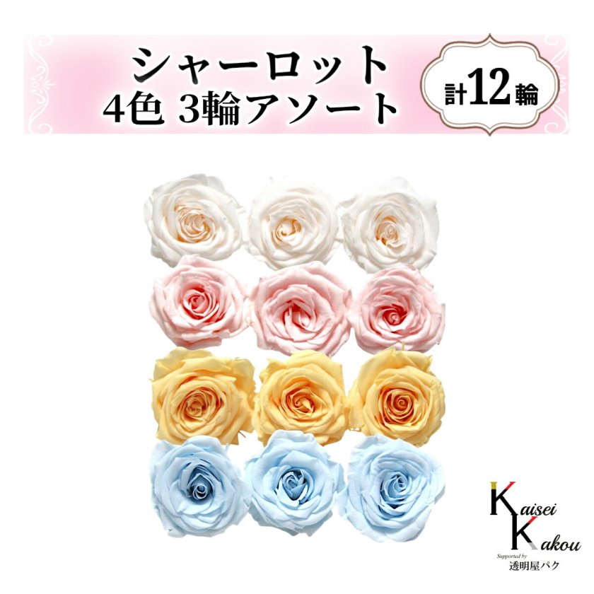 大地農園！プリザーブドフラワー「シャーロット 4色×3輪アソート 計12