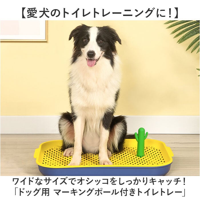 犬 トイレ マーキング 通販 トイレトレー トイレトレーニング しつけ
