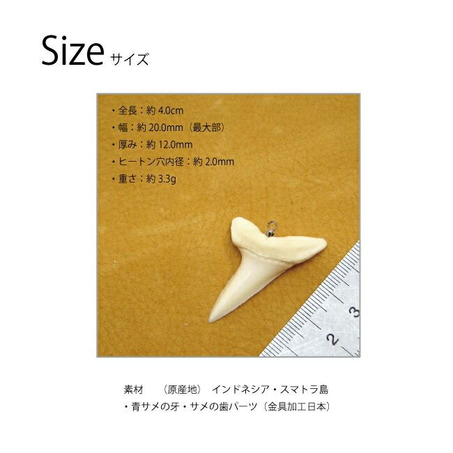 アクセサリー パーツ ペンダント サメ牙 サメ歯 (青サメ) ペンダント