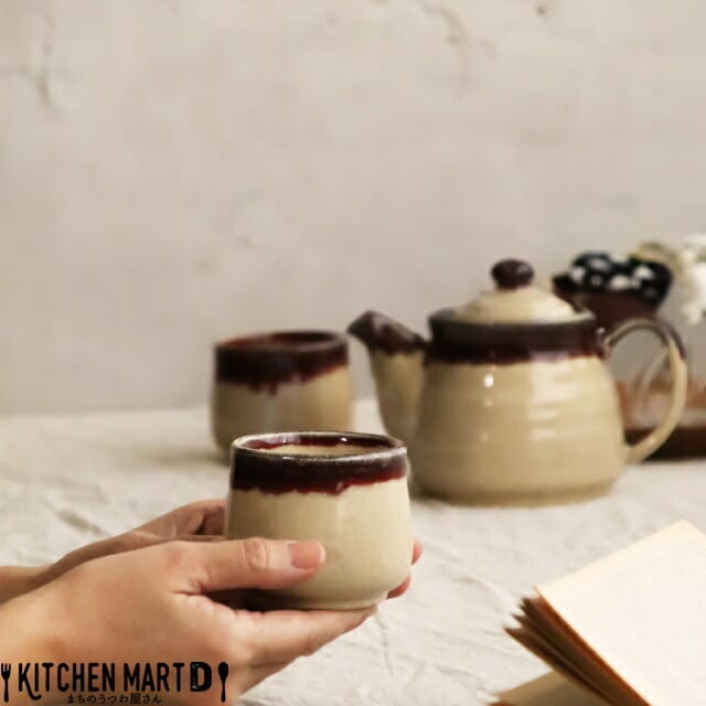 美濃焼 食器 ギフト BOX入 シンシャ・グレーズ 和ポット 茶器揃 ポット