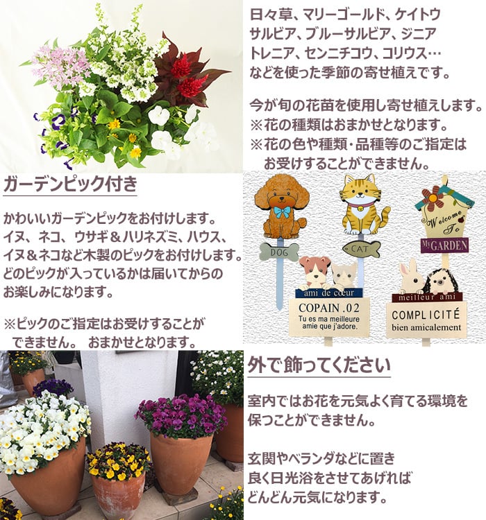 季節の寄せ植え 春夏 アンティーク調 スクエアプランター ブラウン