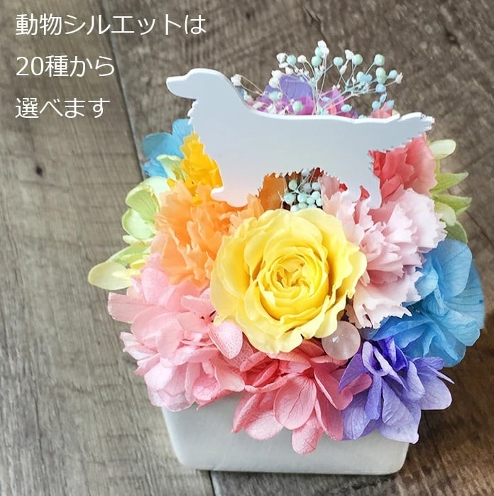 プリザーブドフラワー 虹の雲M」ギフト フラワーアレンジメント 虹の橋