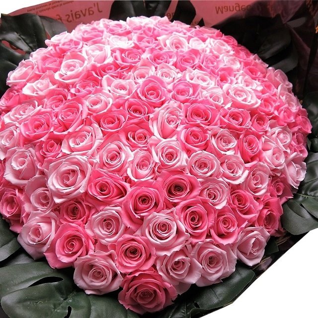 プロポーズ サプライズ 花束 薔薇 バラ 100本 花束 ピンクミックス