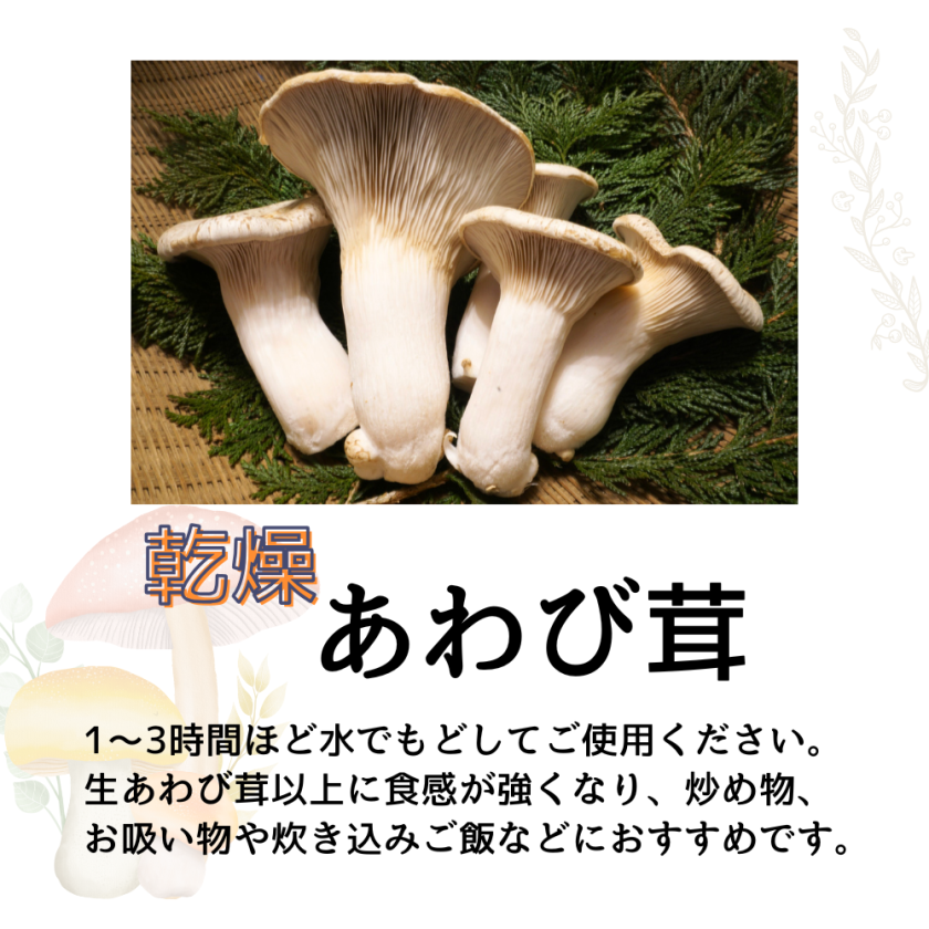 木漏れ日農園 国産 乾燥きのこ 乾燥キクラゲ・乾燥ヒマラヤヒラタケ